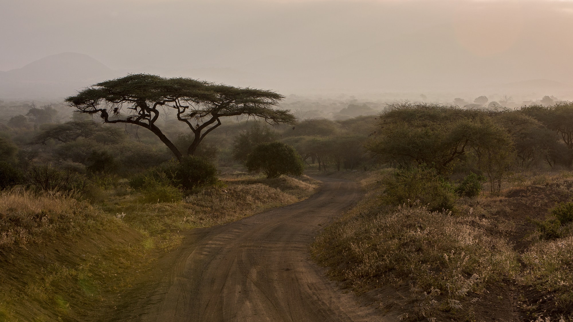 Days Safari Nights That Starts In Nairobi And Leads To Amboseli