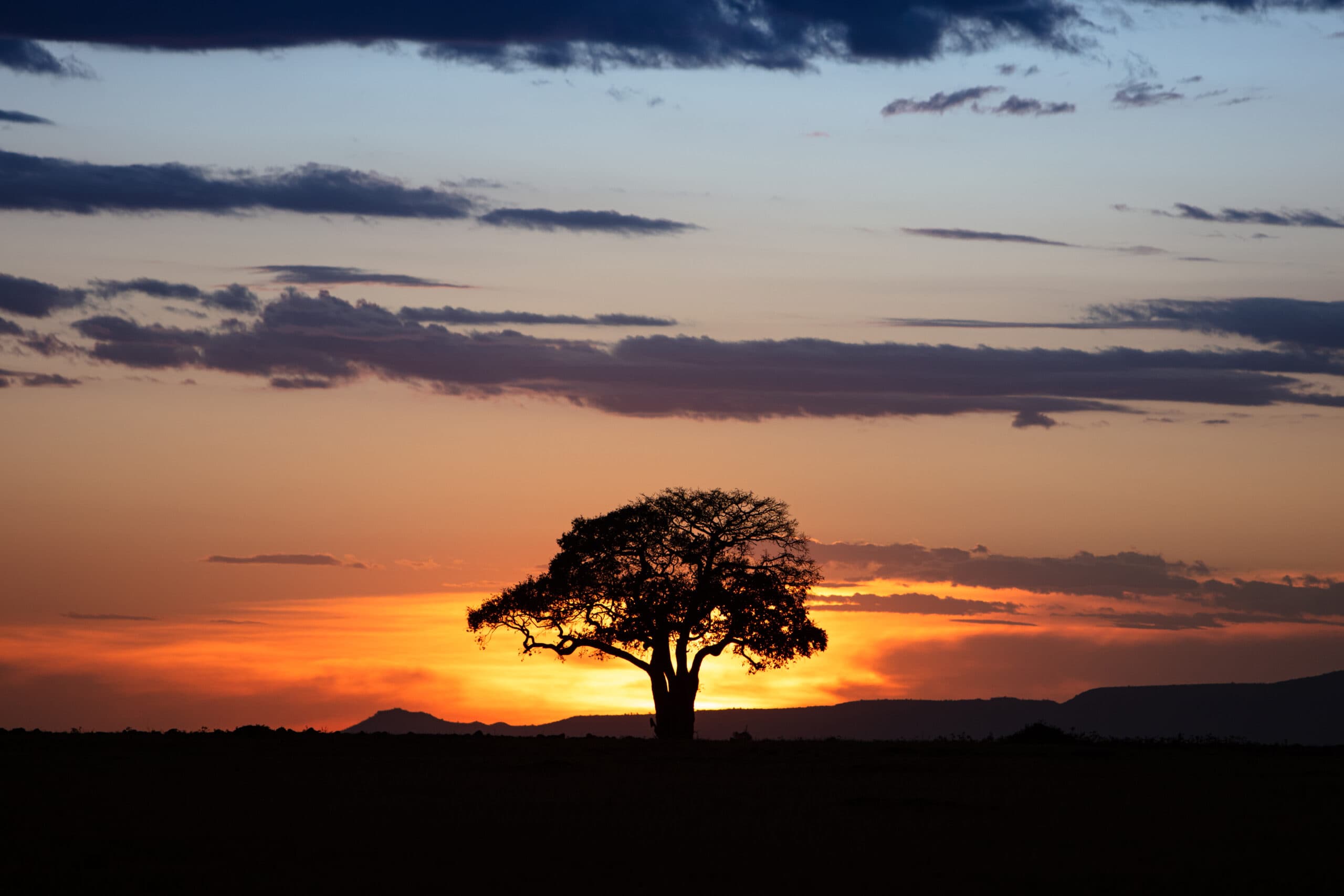 golden sunset in kenya africa 2022 06 17 03 13 50 utc scaled