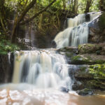 karura forest waterfall in nairobi kenya 2021 08 26 17 00 35 utc
