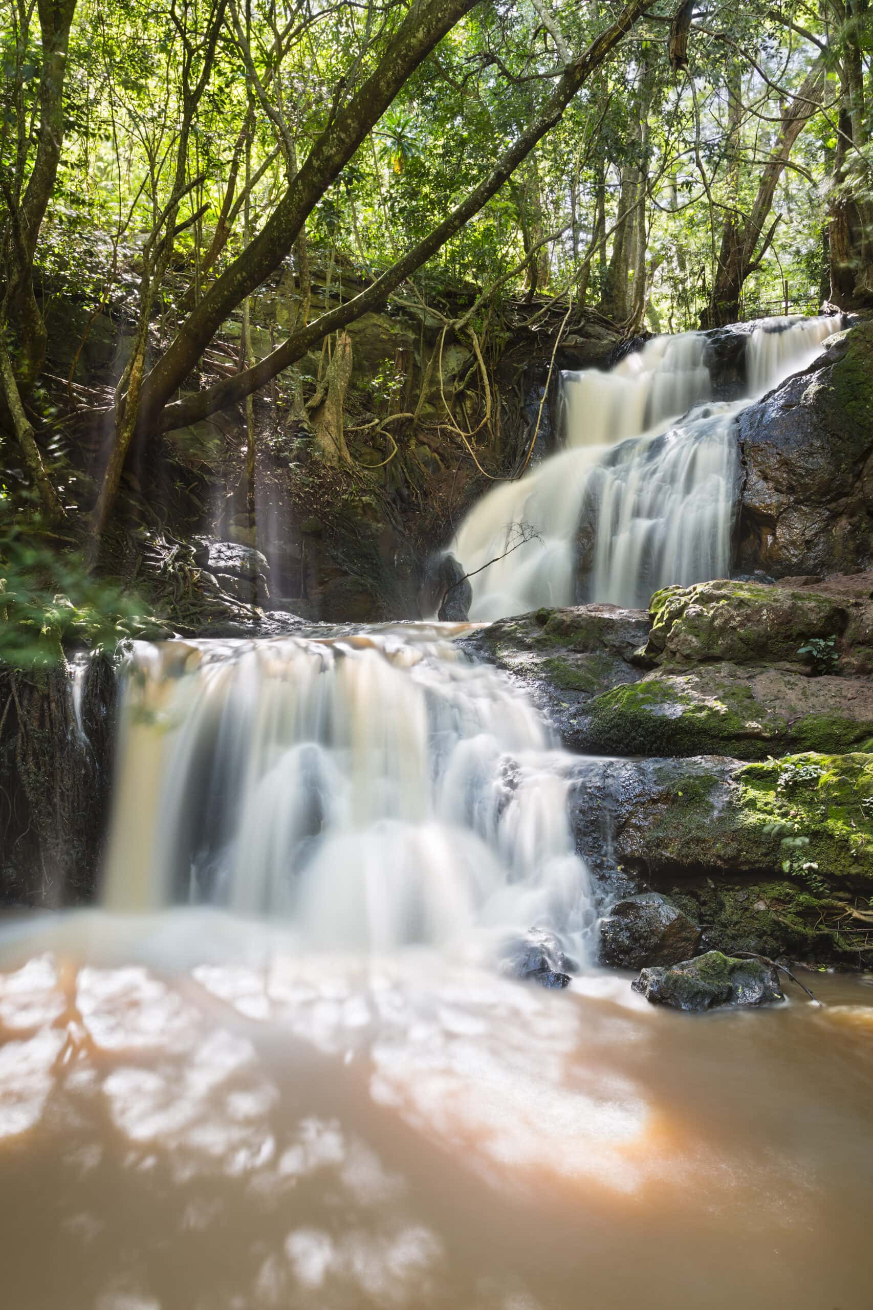 karura forest waterfall in nairobi kenya 2021 08 26 17 00 35 utc scaled