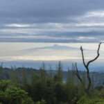mount kenya 5199m summit seen from aberdare natio 2022 03 08 07 46 32 utc