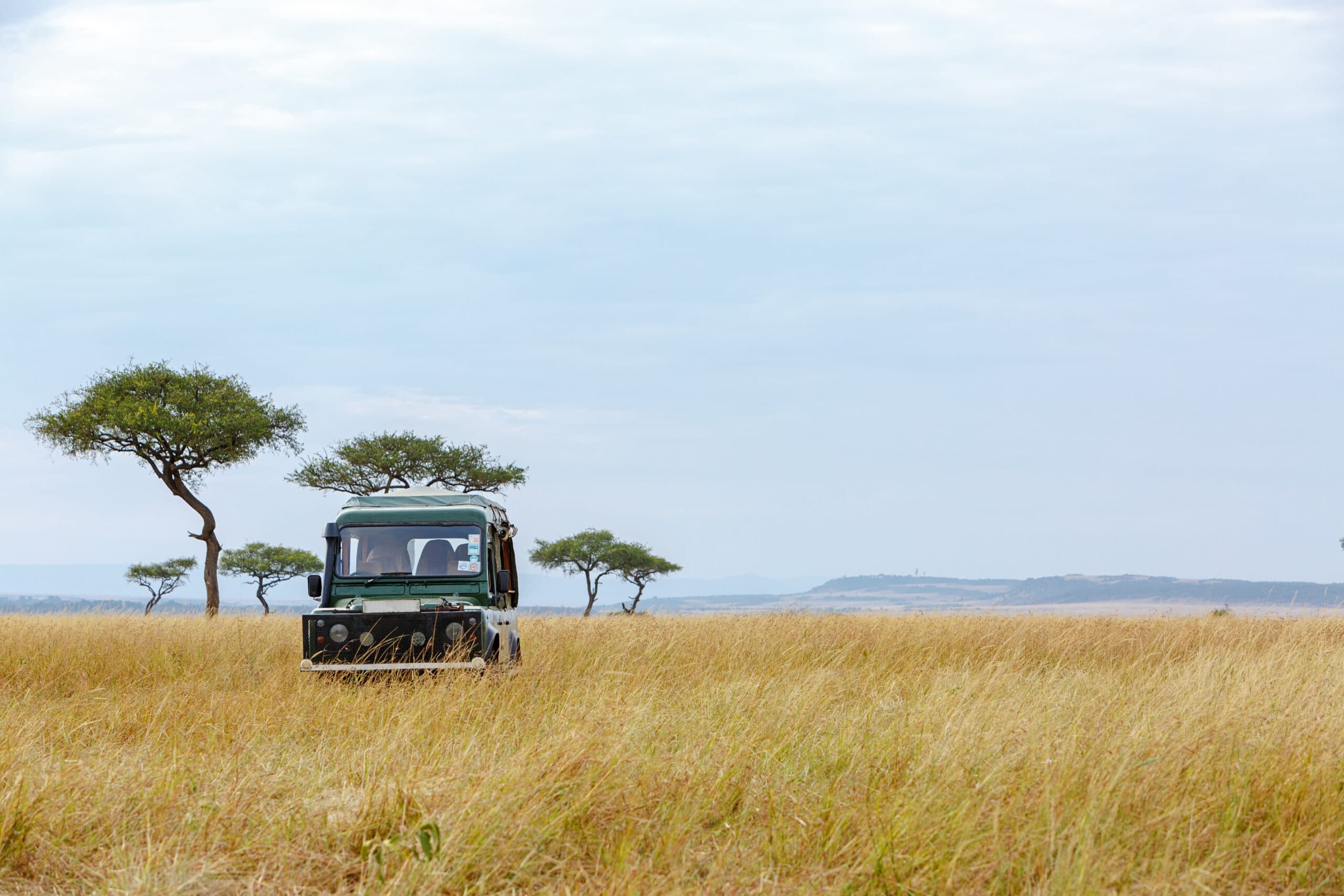 safari tour vehicle in kenya grasslands 2022 06 17 23 17 50 utc scaled