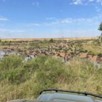 masai mara river stop